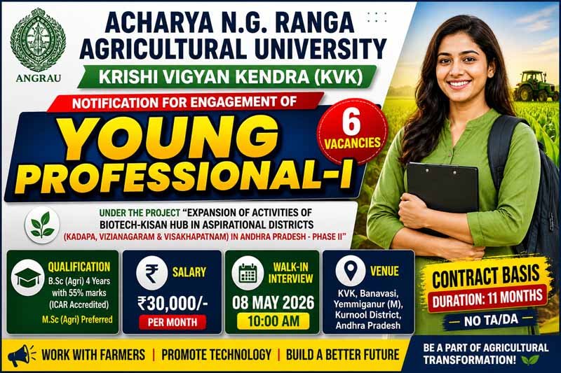ANGRAU KVK Young Professional Recruitment 2026thi